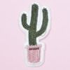 classycactus